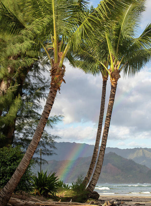 Hawaii Poster featuring the photograph Rainbow Split by Tony Spencer