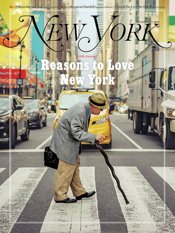 New York City Poster featuring the photograph Reasons to Love New York 2019 by Daniel Featherstone