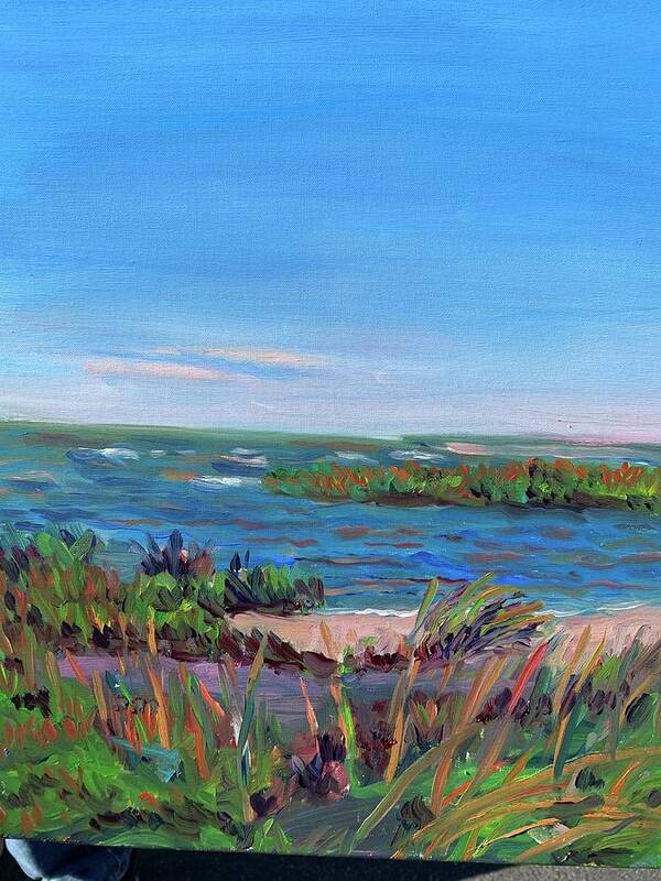 Cape Cod Beach Harbor Summer Poster featuring the painting Rock Harbor by Beth Riso