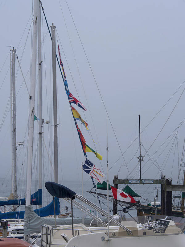 Sailboats Poster featuring the photograph Sailboat Flags at Harbor by Karen Zuk Rosenblatt