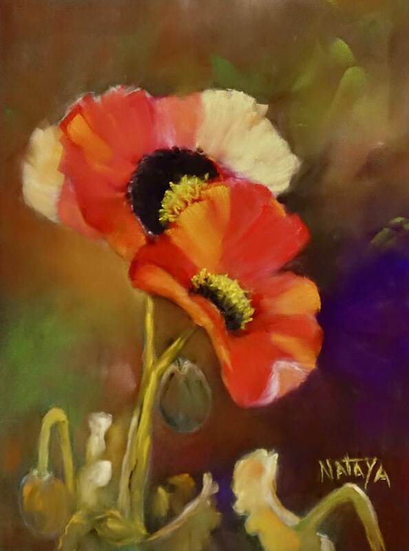 Poppies Poster featuring the pastel Scarlet Poppies by Nataya Crow