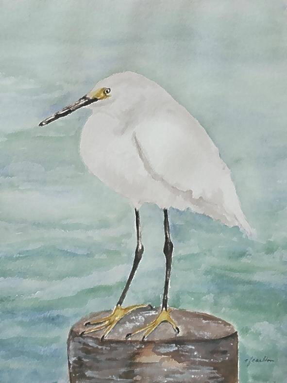 White Bird Poster featuring the painting Snowy Egret by Claudette Carlton