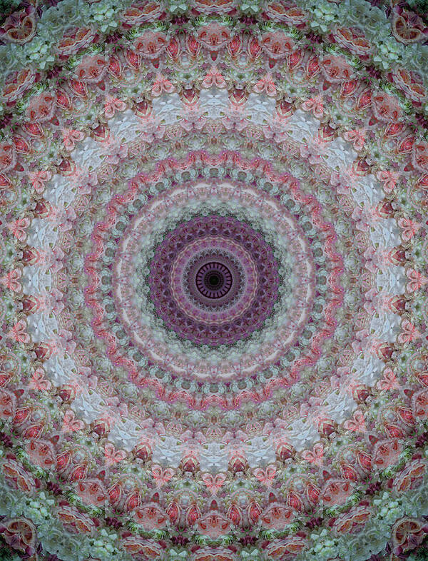 Mandala Poster featuring the photograph Soft pink and gray mandala by Jaroslaw Blaminsky