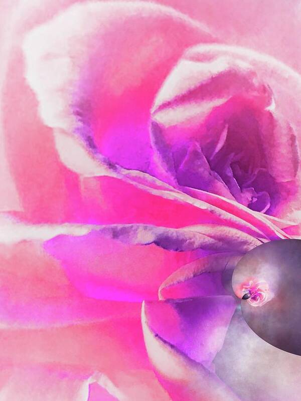Rose Poster featuring the photograph Softly Goes the Rose Spiral 9 by Eileen Backman
