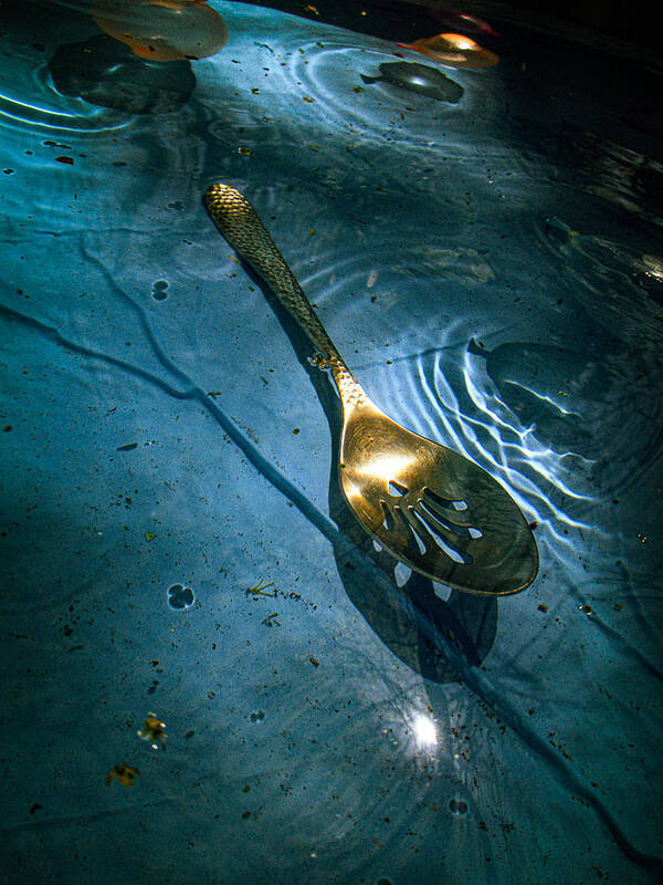 Texas Poster featuring the photograph Spoon in Pool by W Craig Photography