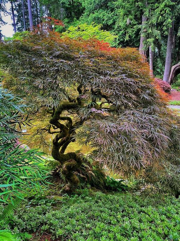 Spring Poster featuring the photograph Spring Tranquility by Jerry Abbott