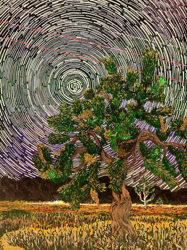 Star Trails Poster featuring the painting Star trails. Joshua Tree National Park, California. by ArtStudio Mateo