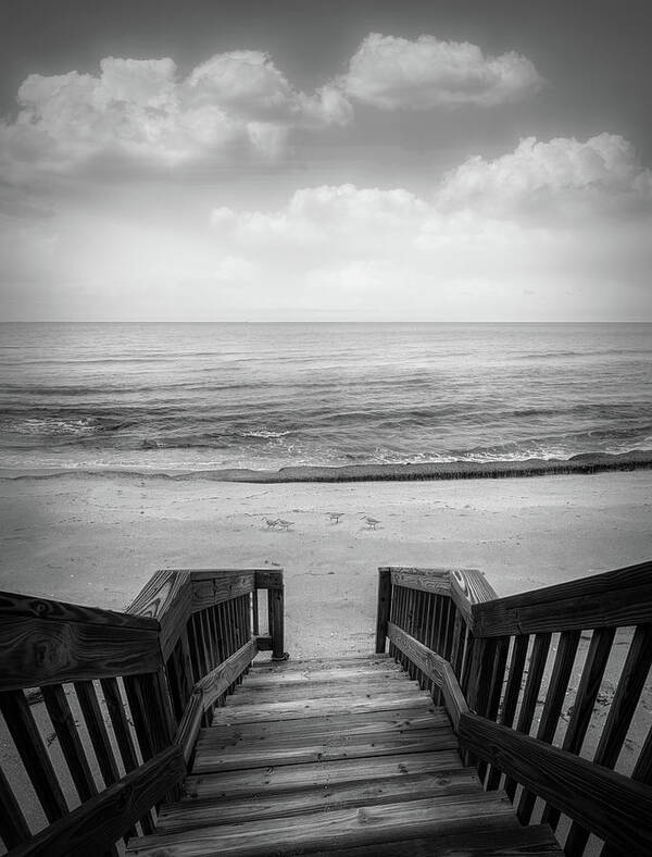Black Poster featuring the photograph Steps to an Island Attitude Black and White by Debra and Dave Vanderlaan