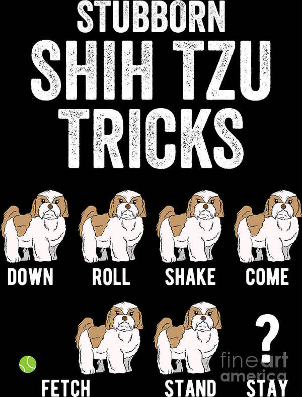 https://render.fineartamerica.com/images/rendered/default/poster/6/8/break/images/artworkimages/medium/3/stubborn-shih-tzu-trick-dog-animal-pet-lover-gift-haselshirt.jpg