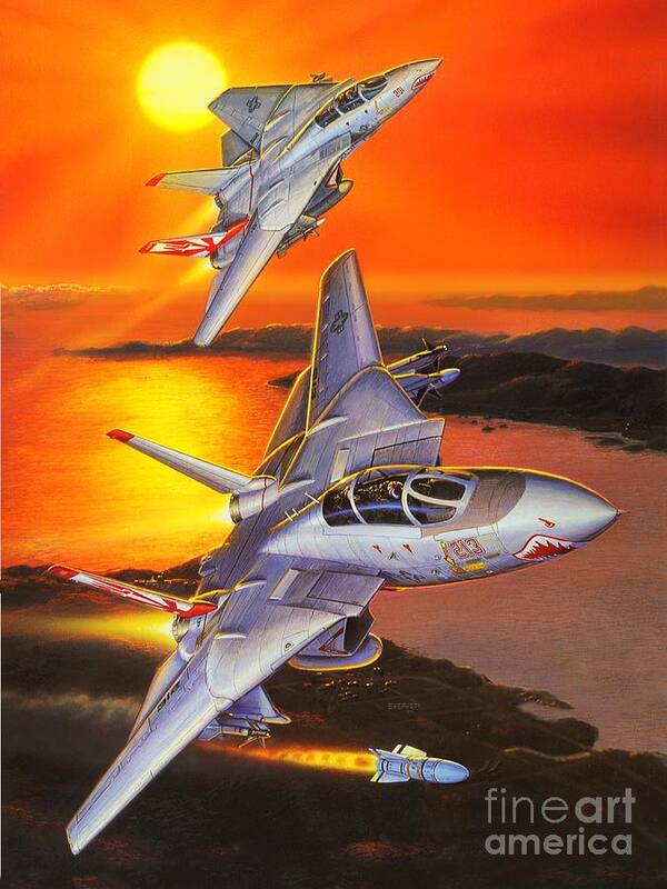 F-14 Tomcat Poster featuring the painting Sundowner Tomcats by Stu Shepherd