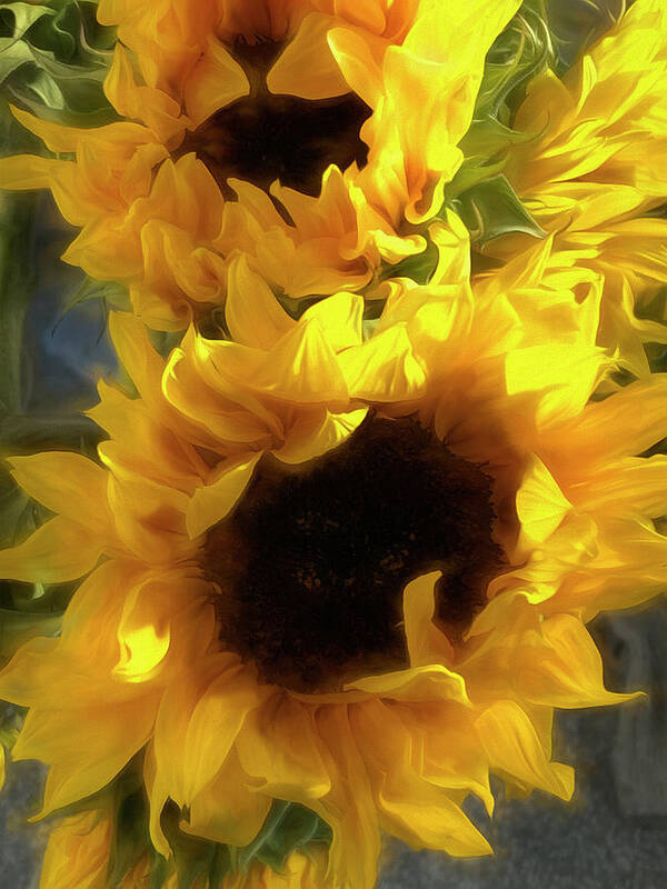  Poster featuring the digital art Sunflower 2020 by Cindy Greenstein