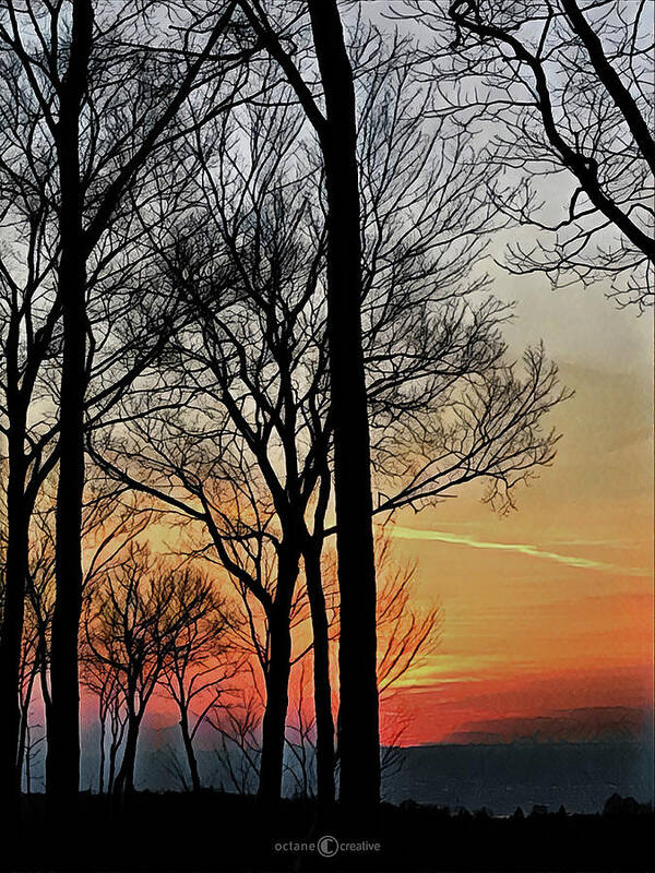 Sunset Poster featuring the photograph Sunset Symphony by Tim Nyberg