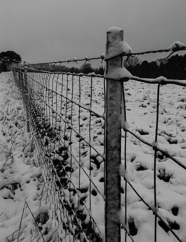 Fence Poster featuring the photograph The fence line by Jamie Tyler