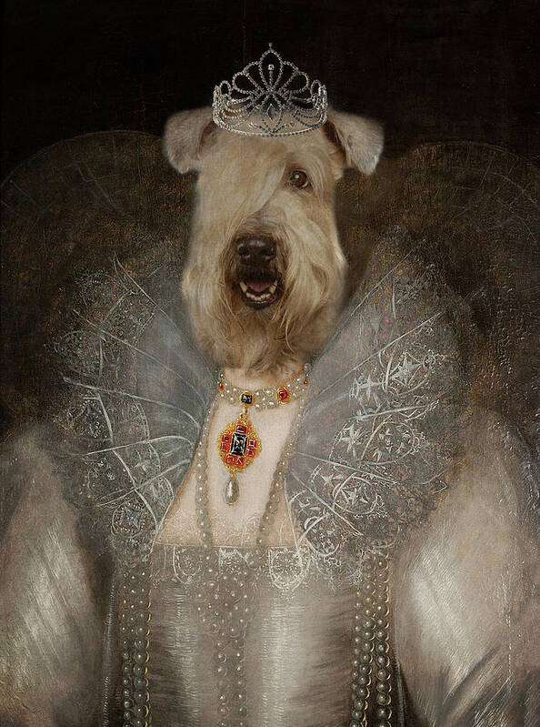 Wheaten Terrier Poster featuring the photograph The Queen That She Is by Rebecca Cozart