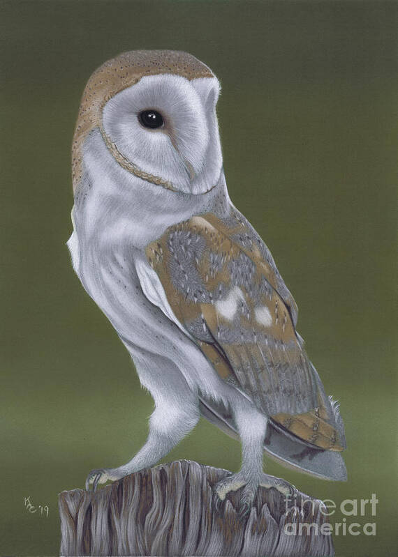 Owl Poster featuring the painting The Thinker by Karie-ann Cooper