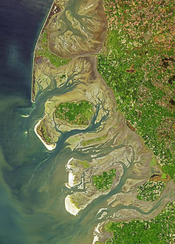 Satellite Image Poster featuring the digital art The Wadden Sea from space by Christian Pauschert