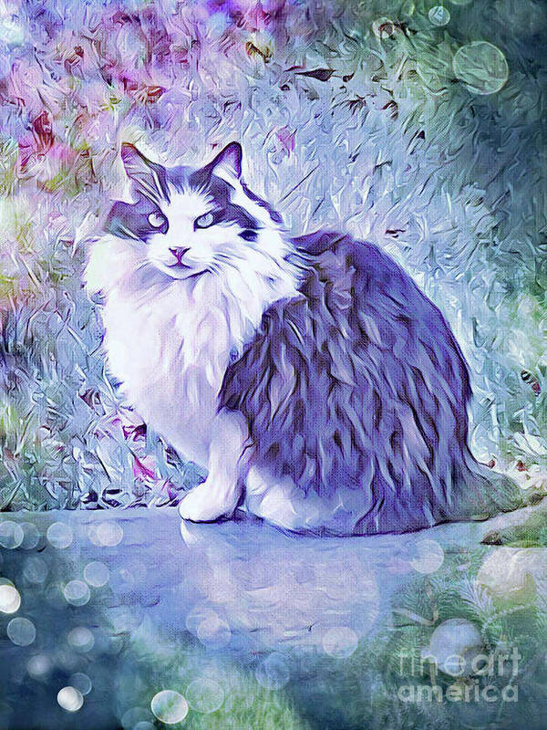 Cat; Kitten; Tuxedo; Long Hair; Impressionist; Painting; Poster featuring the digital art Tuxedo Cat by Tina Uihlein