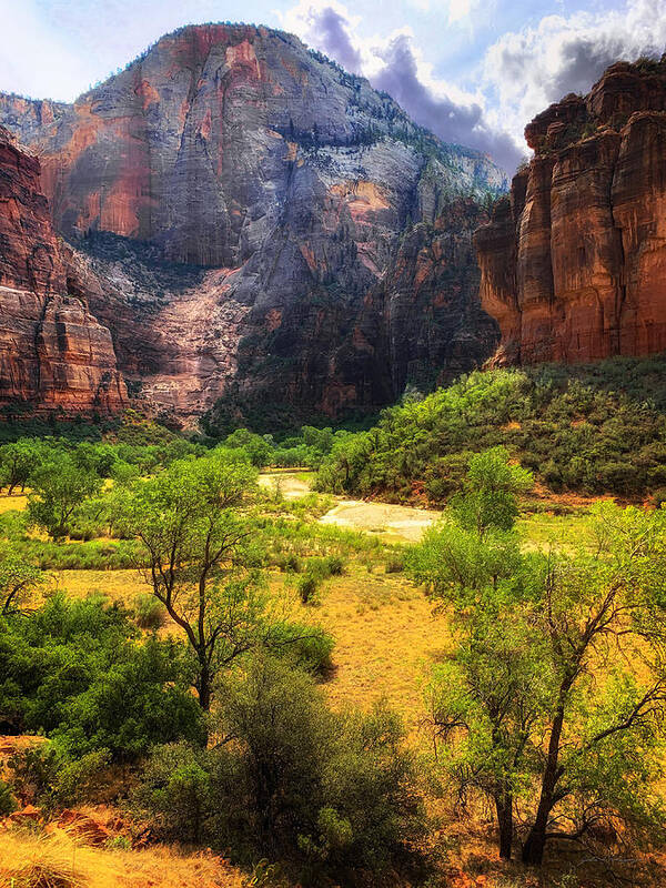 Photograph Poster featuring the photograph Virgin River at Zion National Park, Utah by John A Rodriguez