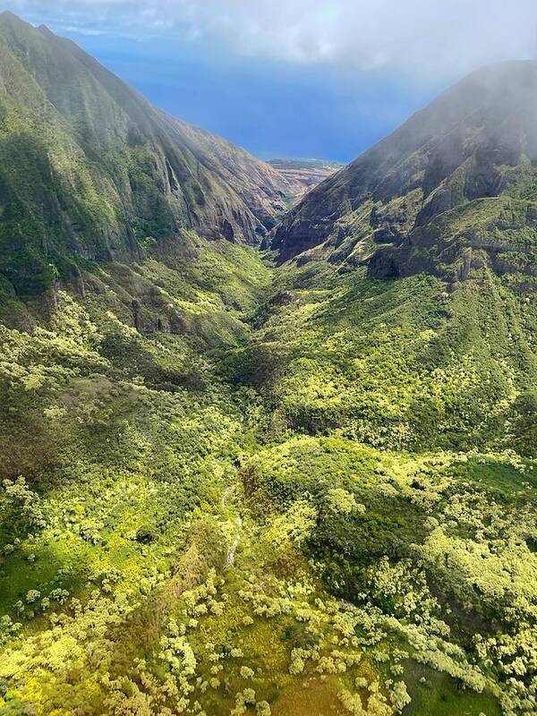 Photograph Poster featuring the photograph West Maui Forest Reserve by Beverly Read