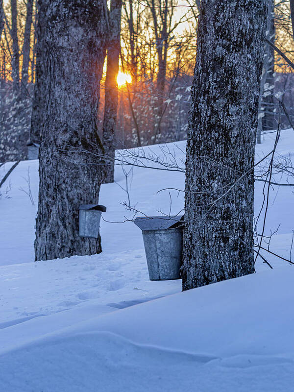 Winter Poster featuring the photograph Winter Buckets by Tim Kirchoff