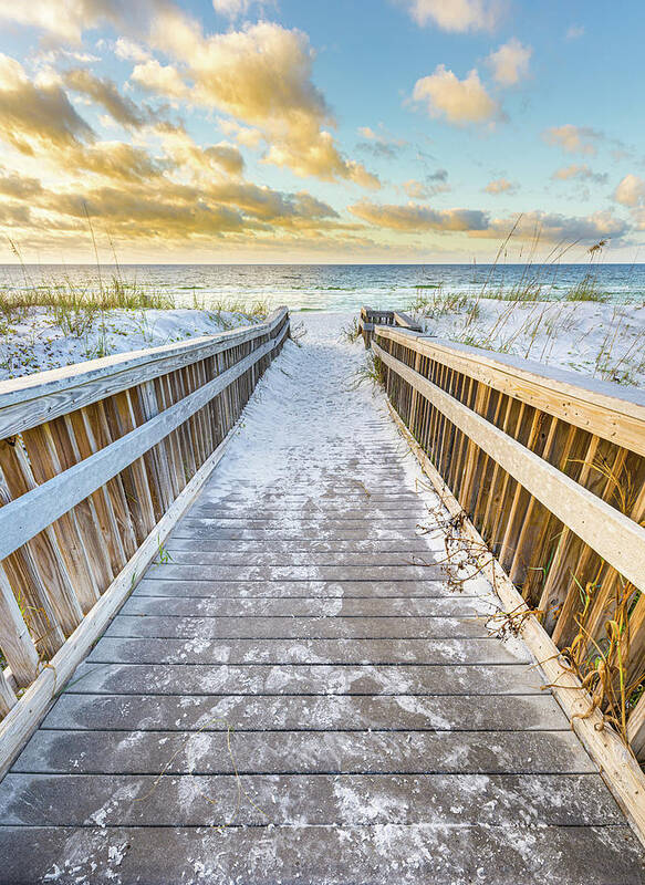 Beach Poster featuring the photograph Path To The Beach by Jordan Hill