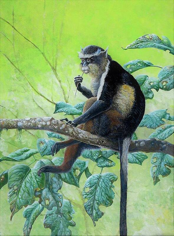 Wolf's Guenon Poster featuring the painting Wolf's Guenon by Barry Kent MacKay