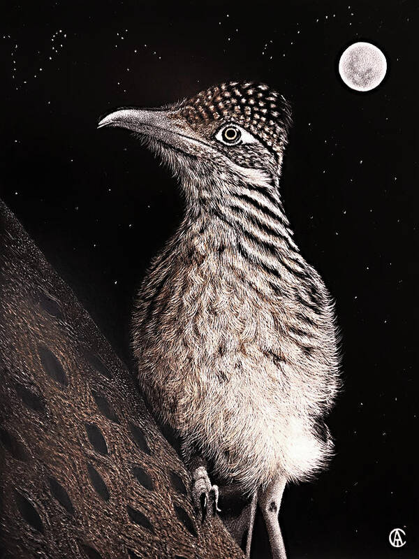 Wren Poster featuring the painting Wren by Angie Cockle