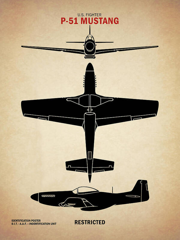 P51 Poster featuring the photograph WW2 P51 Mustang Identification by Mark Rogan