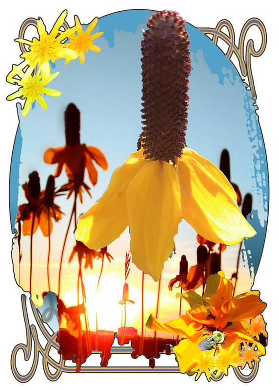 Yellow Poster featuring the digital art Yellow Mexican Hat Summer Flower Collage by Delynn Addams