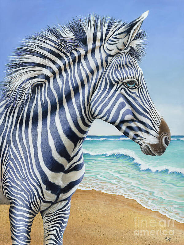 Zebra Poster featuring the painting Zebra by the Sea by Tish Wynne