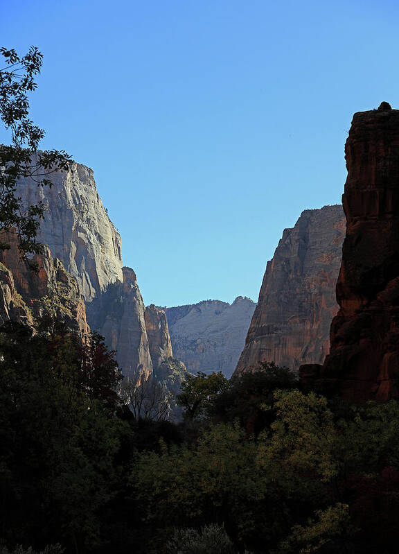 Zion Canyon Poster featuring the photograph Zion National Park - Zion Canyon by Richard Krebs