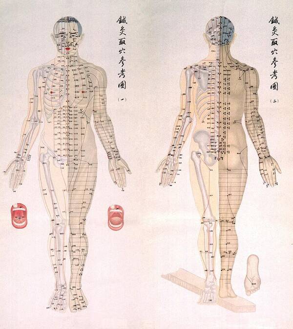 Acupuncture Chart Poster