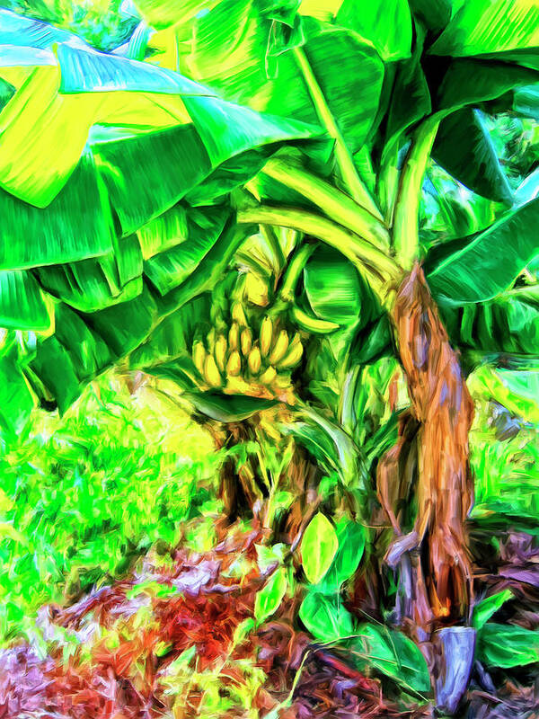 Bananas Poster featuring the painting Bananas in Lahaina Maui by Dominic Piperata