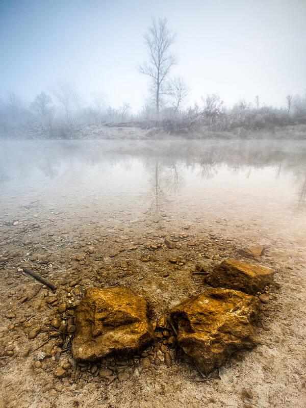 Landscapes Poster featuring the photograph Tree and rocks by Davorin Mance