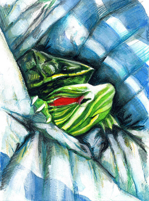 Red Eared Slider Poster featuring the painting Turtle In A Blanket by Rene Capone