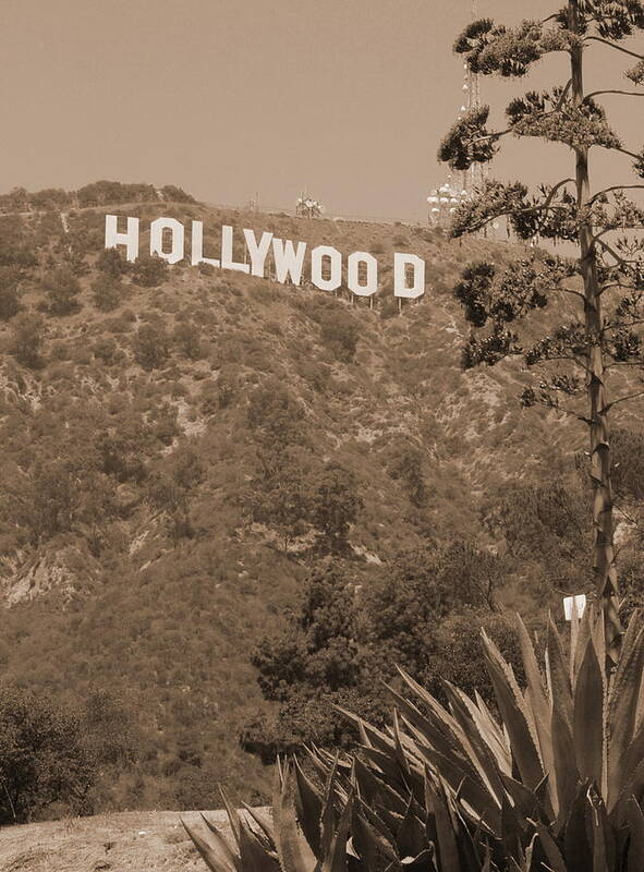 Hollywood Poster featuring the photograph Hollywood Signage by Richard Omura
