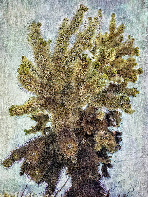 Cholla Poster featuring the digital art Jumping Cholla by Sandra Selle Rodriguez
