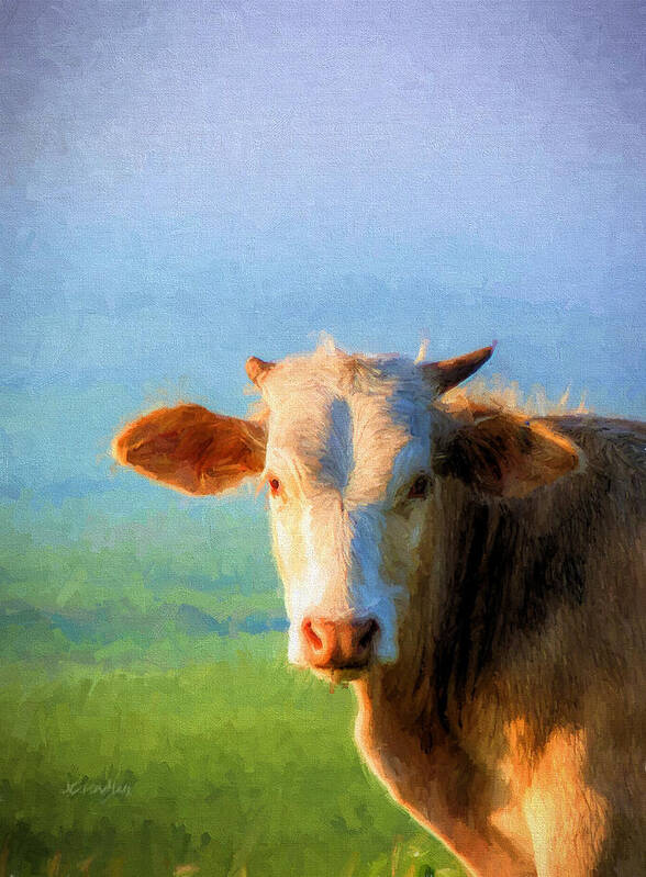 Moo Poster featuring the photograph Moo by JC Findley