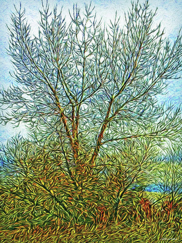 Joelbrucewallach Poster featuring the digital art Sunlit Trees by Joel Bruce Wallach