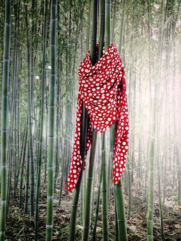 Designer Poster featuring the photograph Scarf on Bamboo by Matthew Bamberg