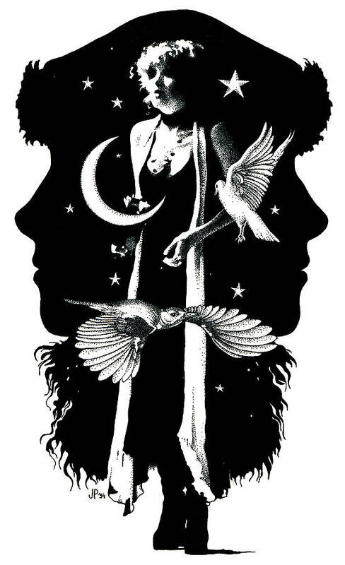 Stevie Nicks Poster featuring the drawing The Nightbird by Johanna Pieterman