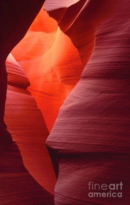 Dave Welling Poster featuring the photograph Sandstone Abstract Lower Antelope Slot Canyon Arizona by Dave Welling