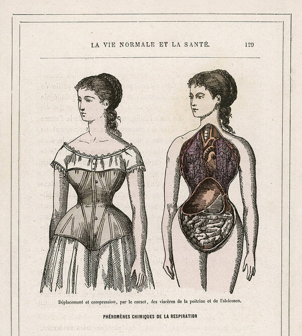 https://render.fineartamerica.com/images/rendered/default/poster/7.5/8/break/images-medium-5/-what-a-corset-does-for-and-to-a-girl-mary-evans-picture-library.jpg