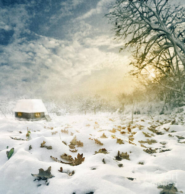 Christmas Poster featuring the digital art Winter Landscape #2 by Jelena Jovanovic