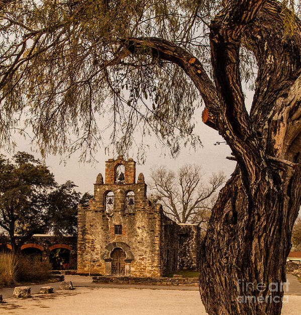 Mission Poster featuring the photograph Mission Espada #14 by Iris Greenwell