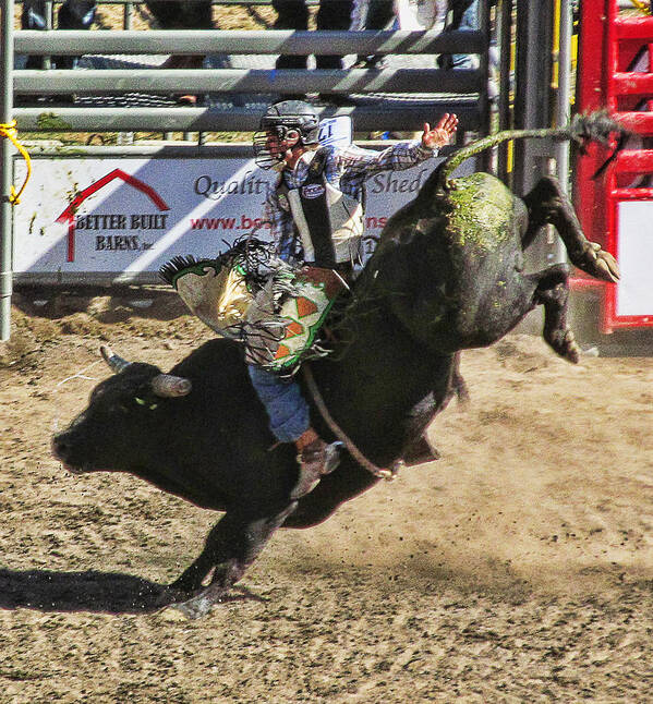 Ron Roberts Photography Poster featuring the photograph Bareback Bull riding by Ron Roberts