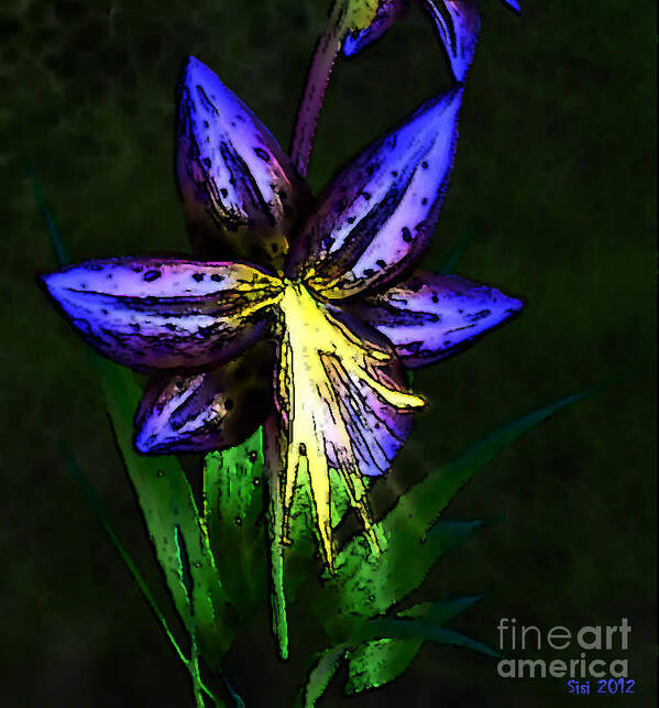 Flower Poster featuring the digital art Blue lily2 by Susanne Baumann