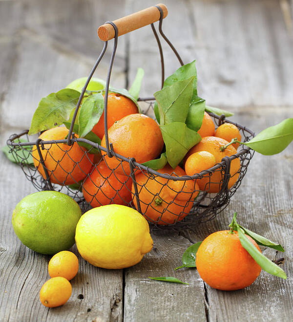 Large Group Of Objects Poster featuring the photograph Citrus In A Basket by Julia Khusainova