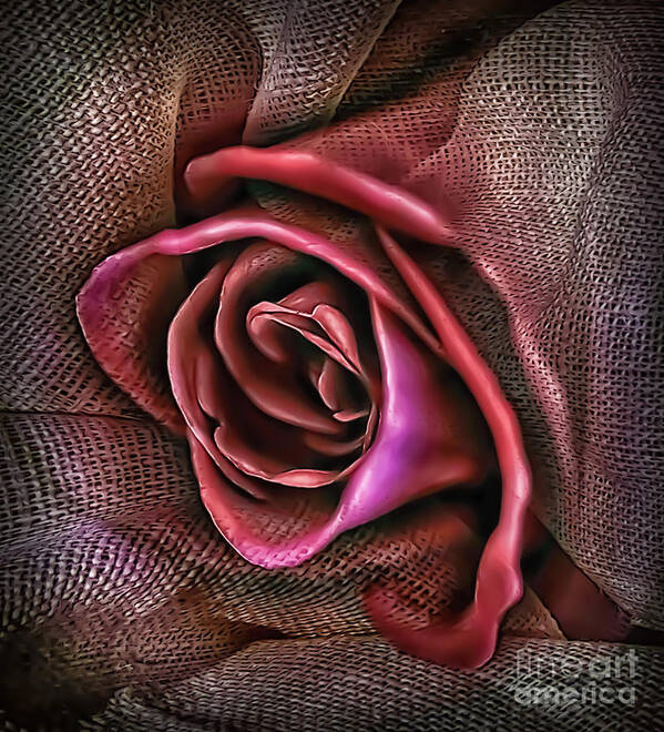 Composite Poster featuring the photograph Rose in Burlap 2 by Walt Foegelle