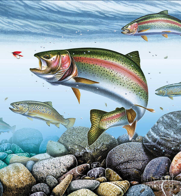Jon Q Wright Poster featuring the painting Deep Stream Rainbow Trout by JQ Licensing